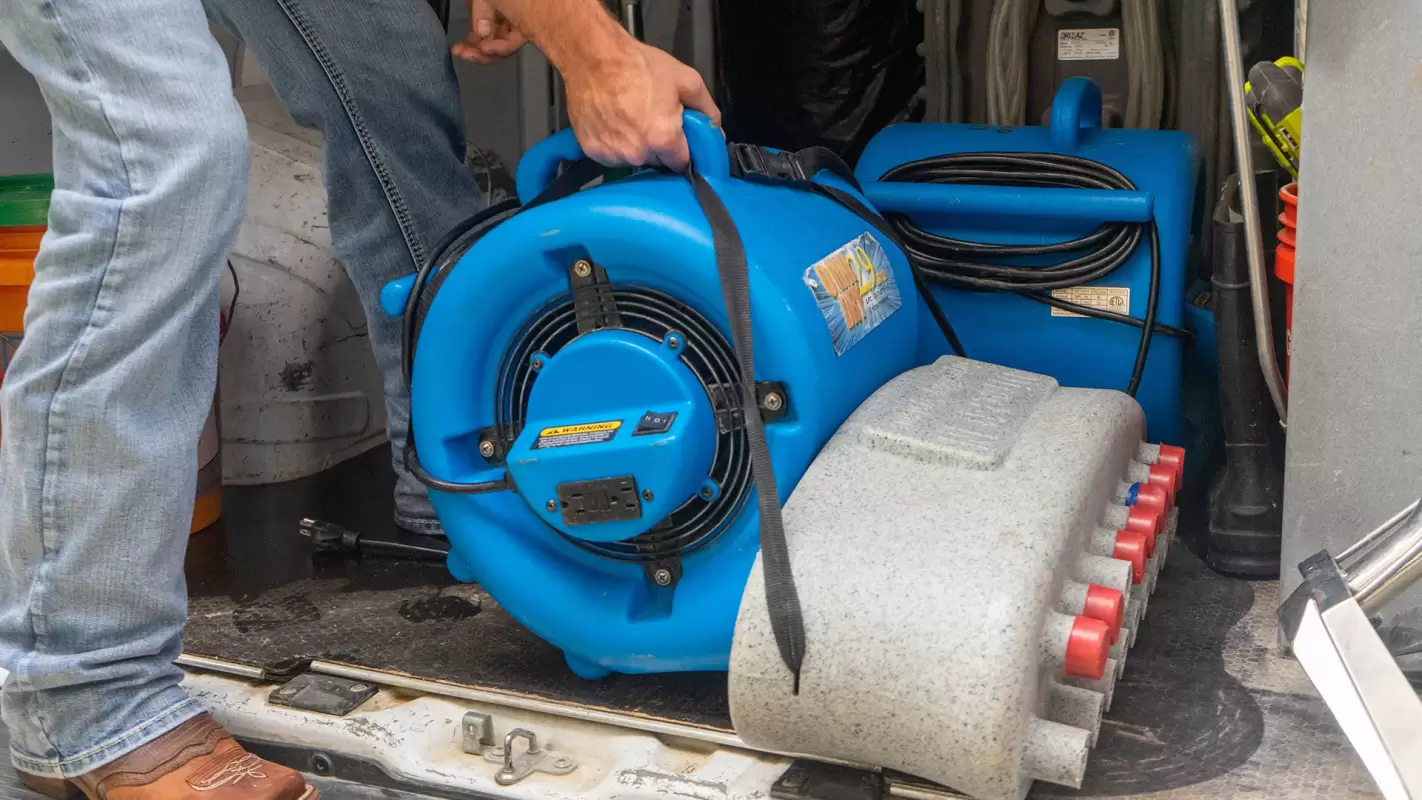 Water Damage Repair Service to Eliminate Breeding Grounds for Pests!