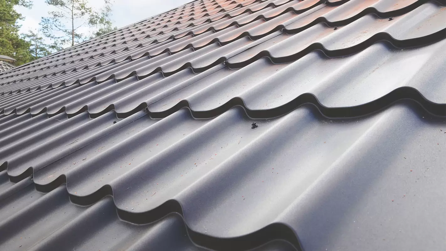 Commercial Roofing Services: Protecting Your Business from the Top Down