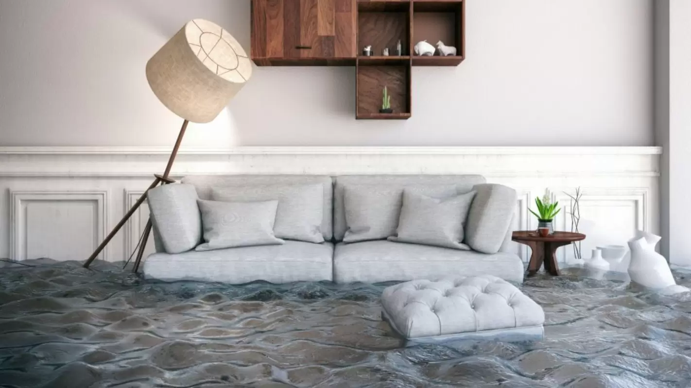 Flood Remediation Company: We Make Water Disappear With Perfection