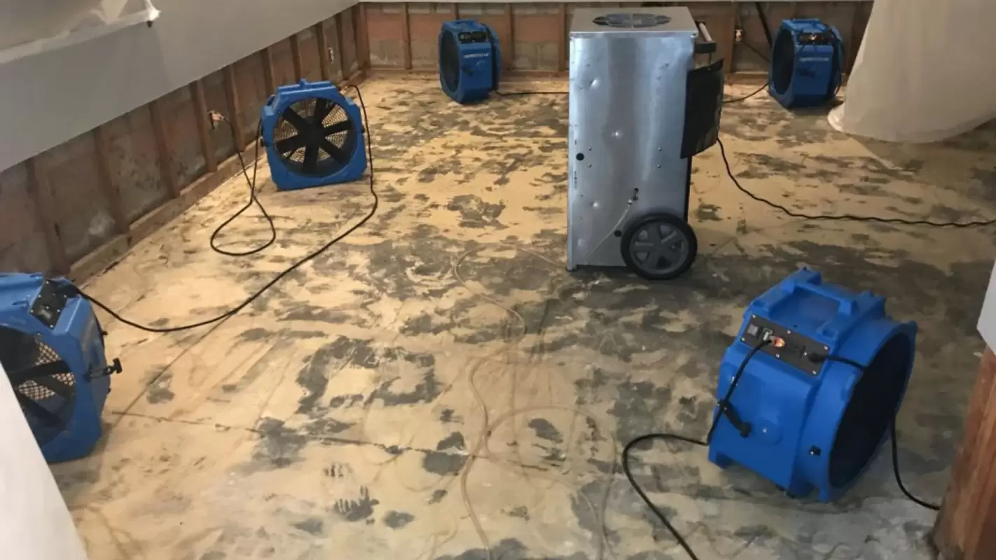 End Your Quest For “Water Damage Repair Near Me” Hire Us Now!