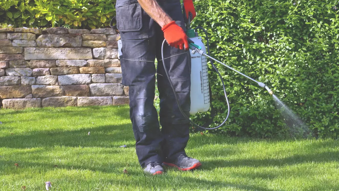 Enjoy Your Yard Again With Outdoor Pest-Preventative Treatment