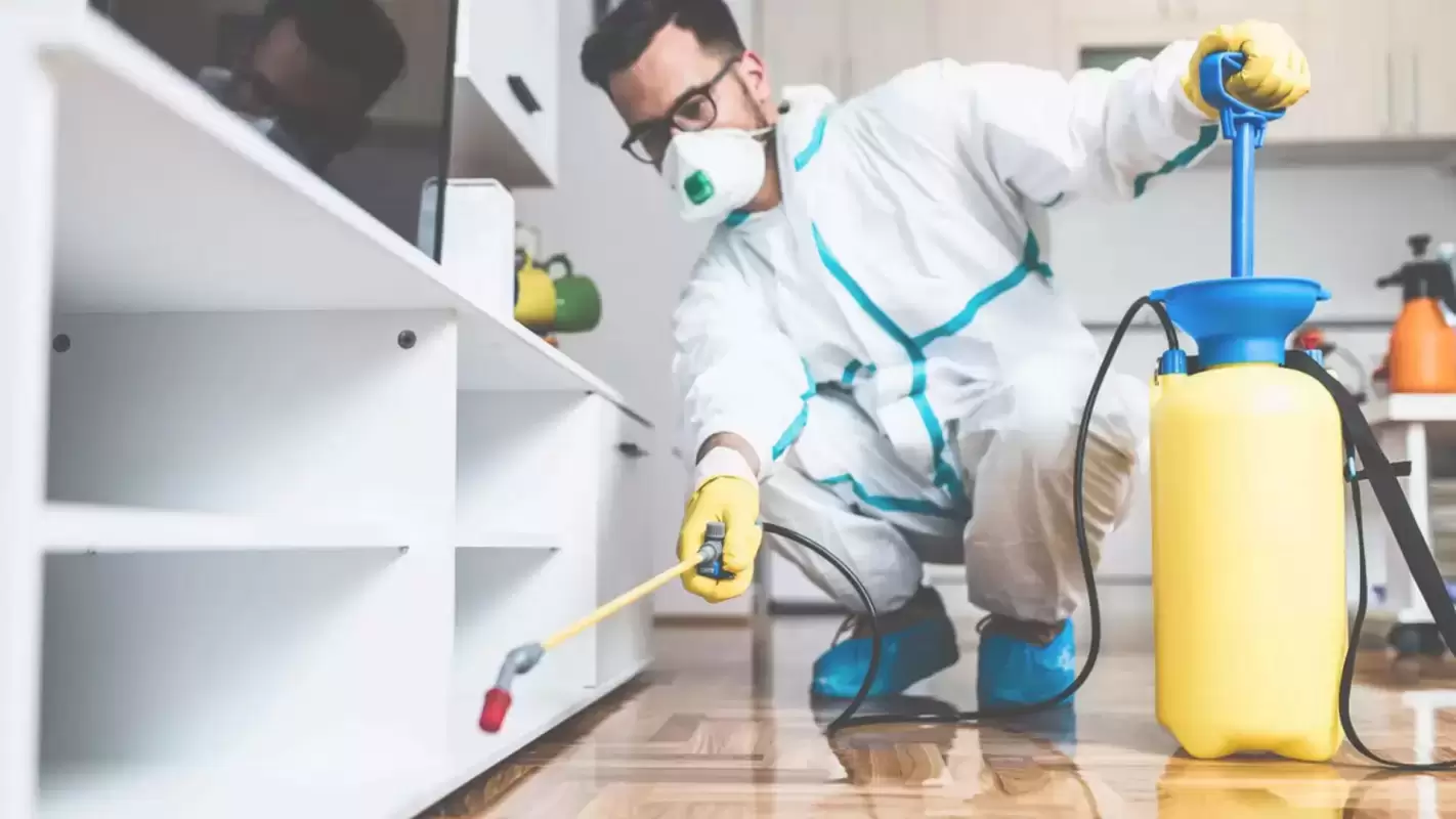Indoor Pest Preventative Treatment to Get Pest-free Living Space