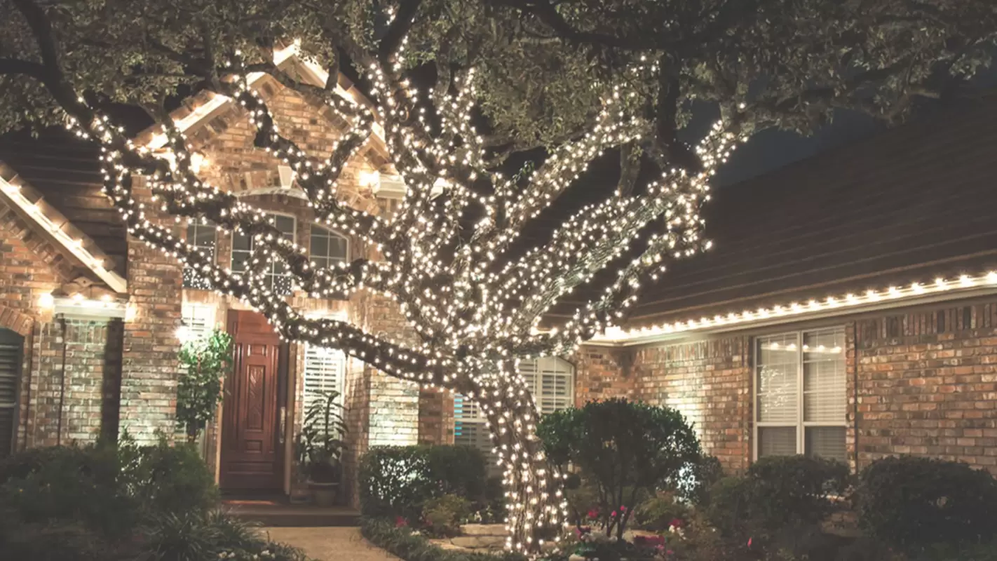 Our Christmas Lighting Installation Will Leave You Mesmerized