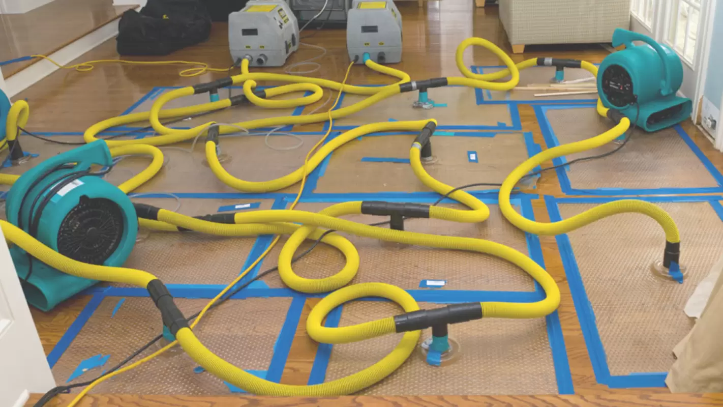 Our Tried, Tested, and Trusted Methods for Treating Water Damage