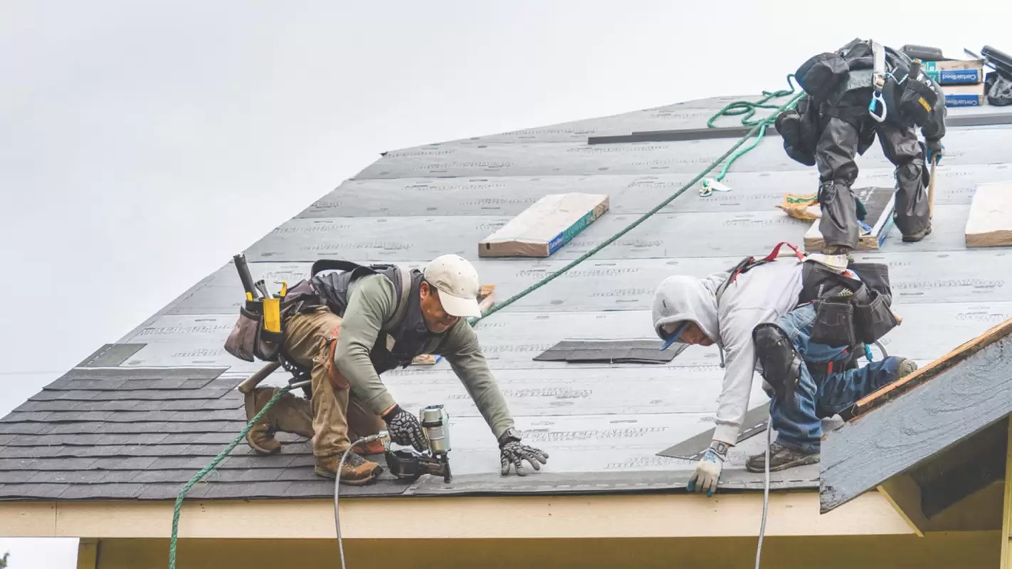 End Your Search For ‘Roof Repair Near Me’ By Hiring Us