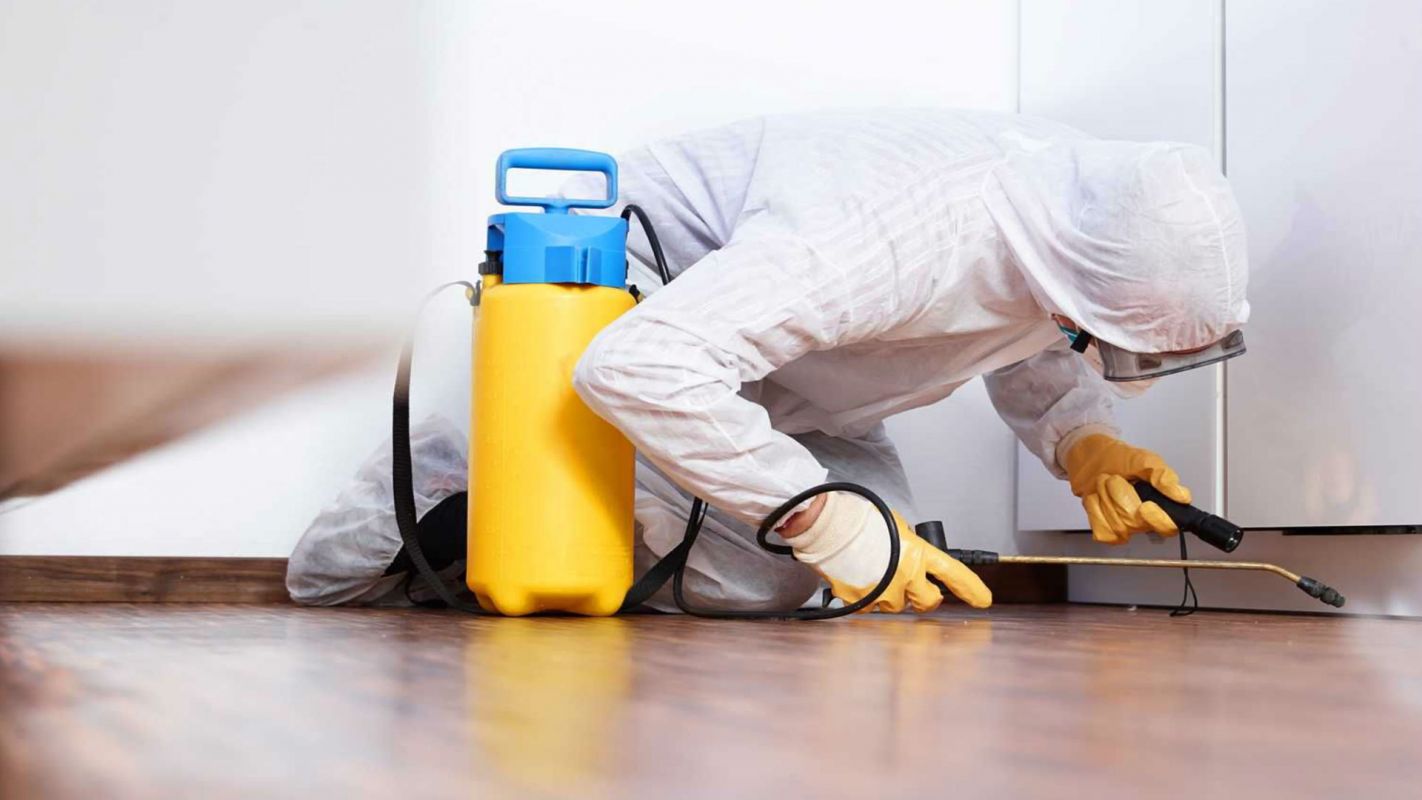 Termite Inspection Services Downers Grove IL