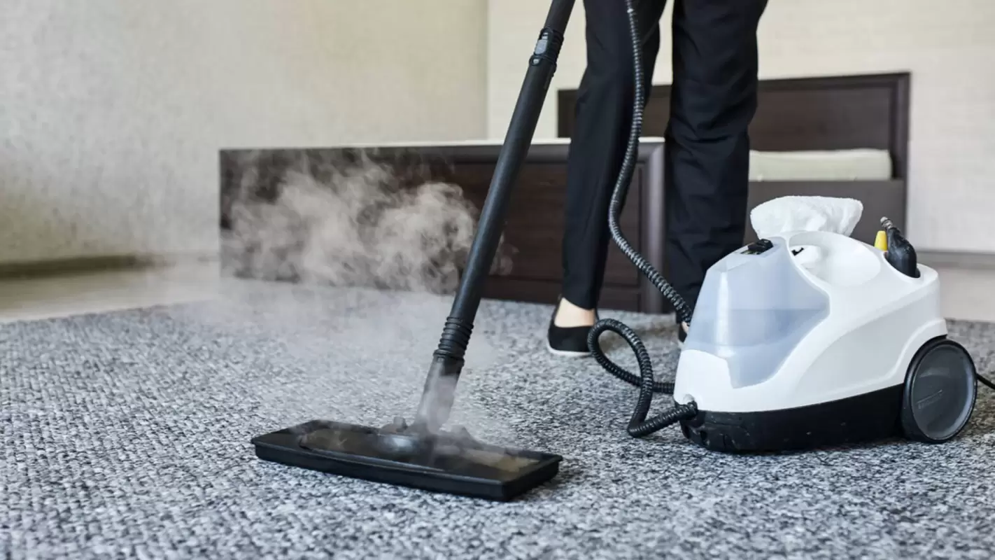 Professional Carpet Cleaners Are A Go-To Choice For Carpet Cleaning