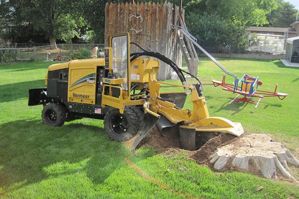 Tree Stump Removal College Park MD
