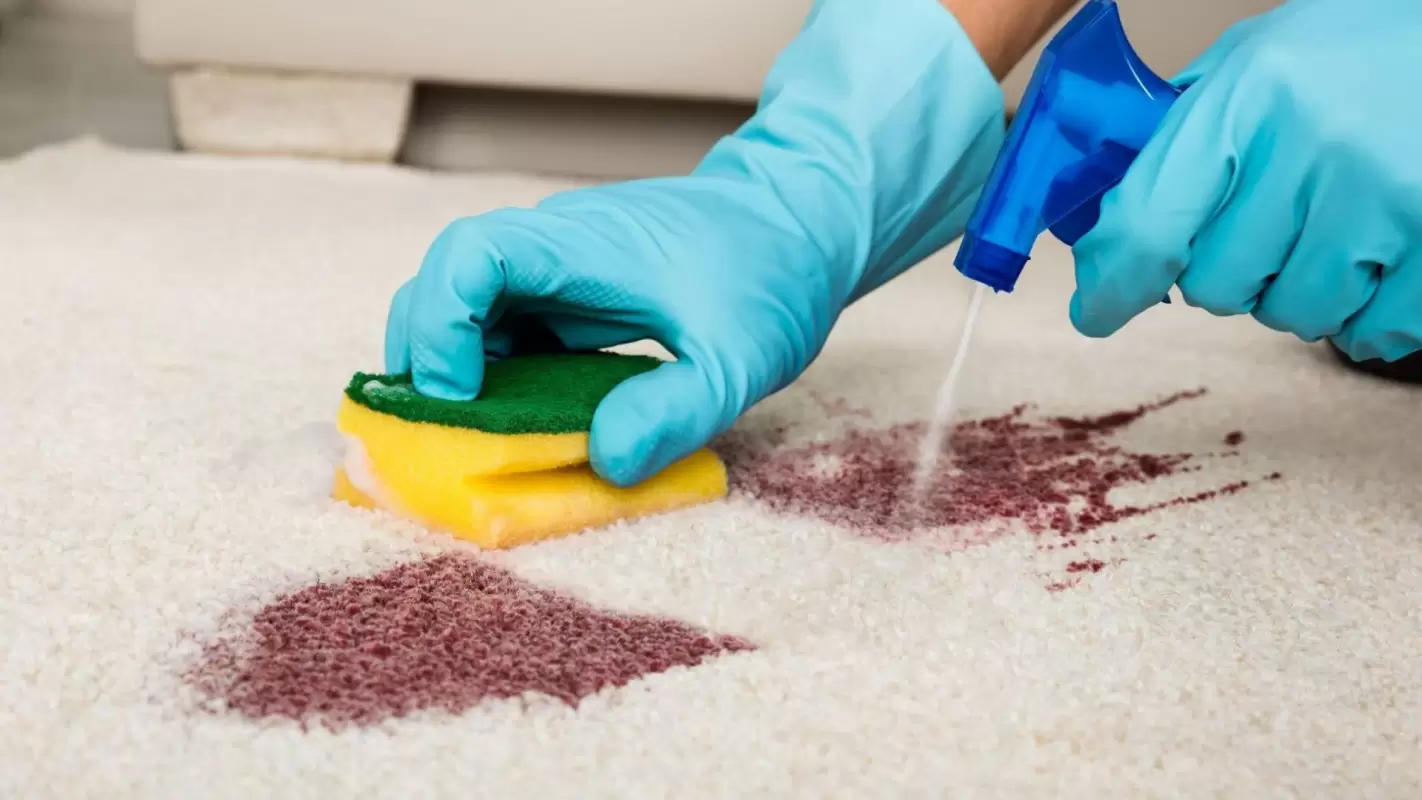 Renew Your Space With The Carpet Stain Removal Services You Need