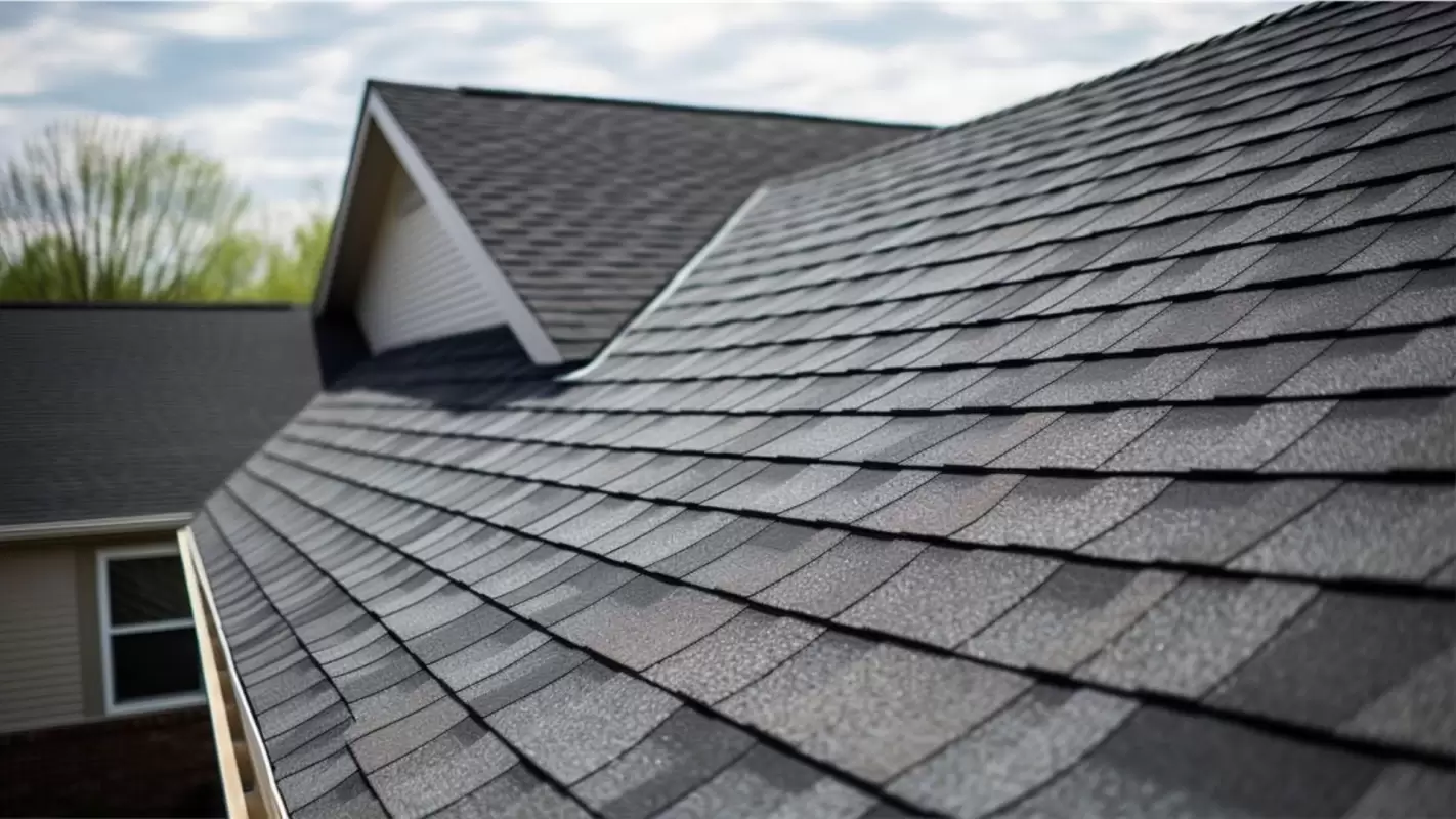 Professional Roof Restoration Tailored To Your Needs