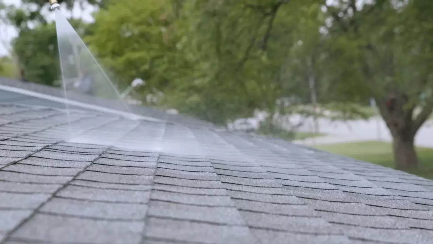 Professional Roof Rejuvenation Service Dedicated To Your Satisfaction