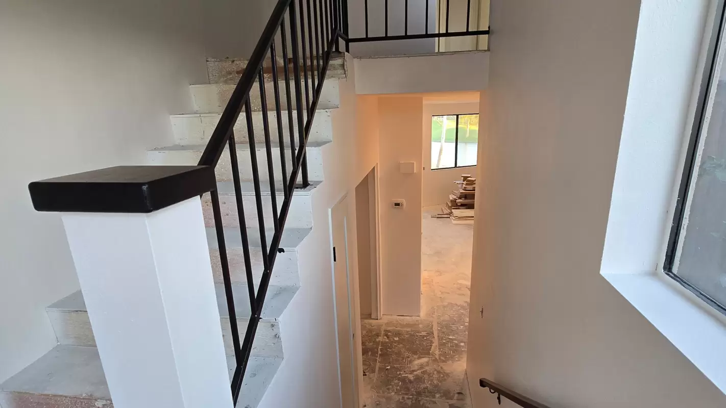 Professional Painting Services Around Me? We Offer the Best Services!