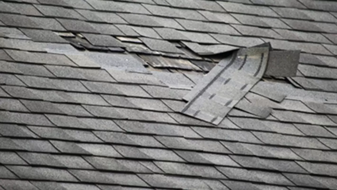 Swift & Reliable Solutions For A Professional Roof Repair