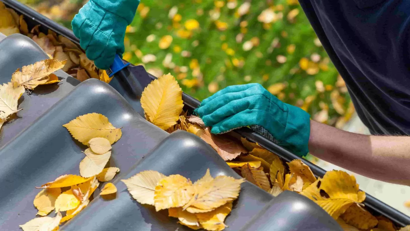 Gutter Cleaning Tailored To Meet Your Needs