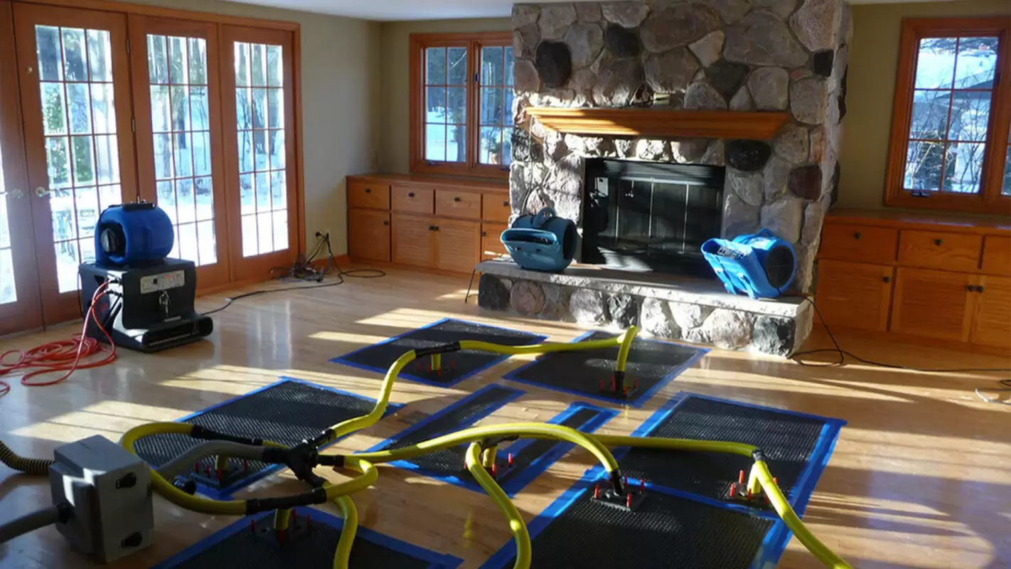 Experience Unparalleled Water Intrusion Services