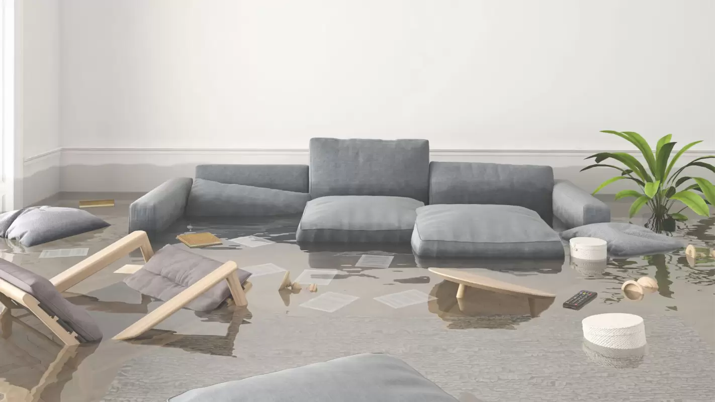 Your Go-to Specialists for Flood Damage Repair