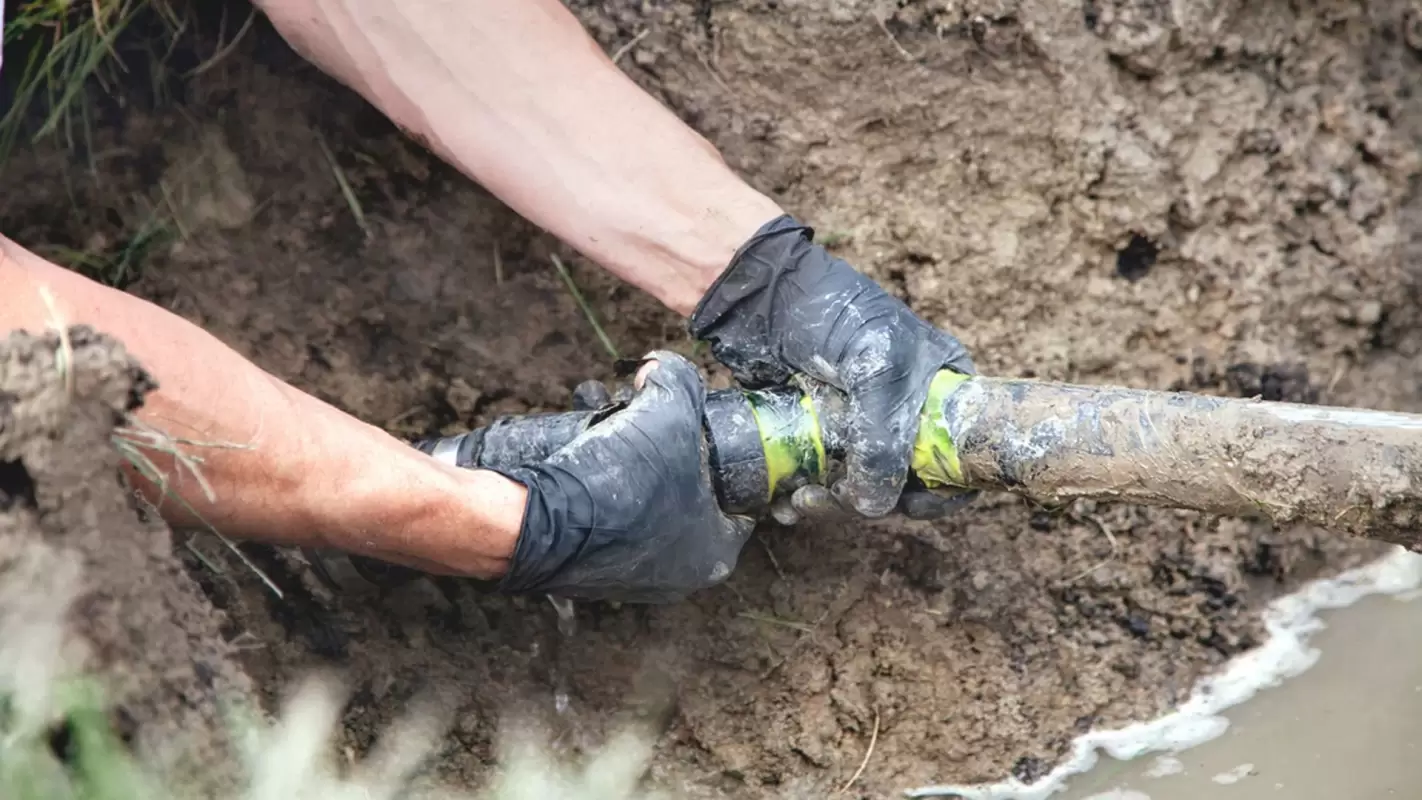 Prevent Root Damage with Our Sewer line repair.
