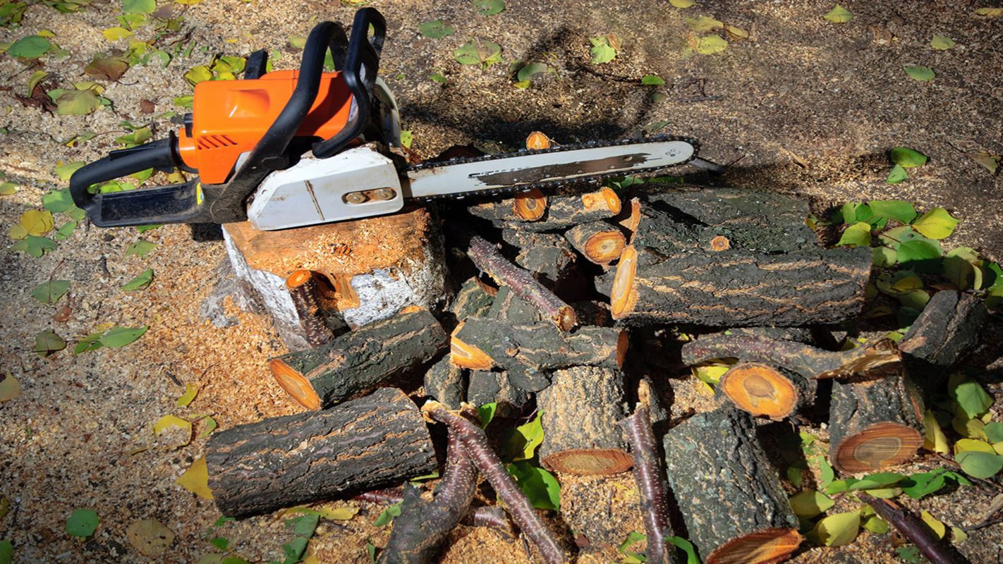Tree Removal Services Urbandale IA