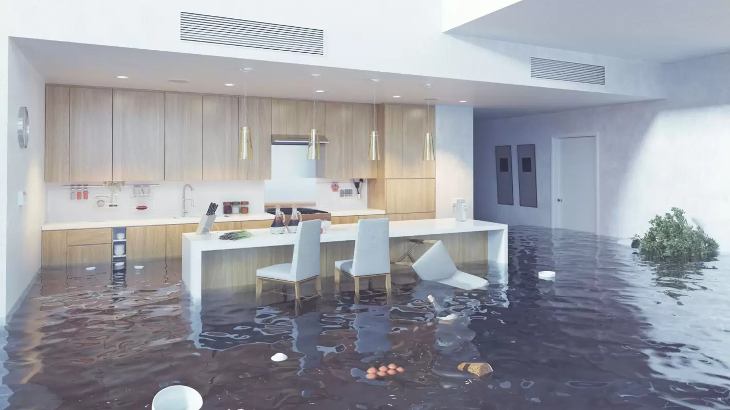 When Water Strikes, Our Flood Clean Up Services Are Your Partner