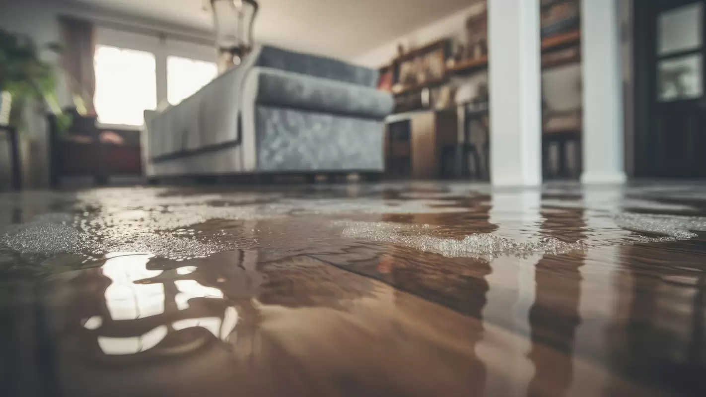 From Disaster To Pristine, Our Water Removal Services Are Supreme