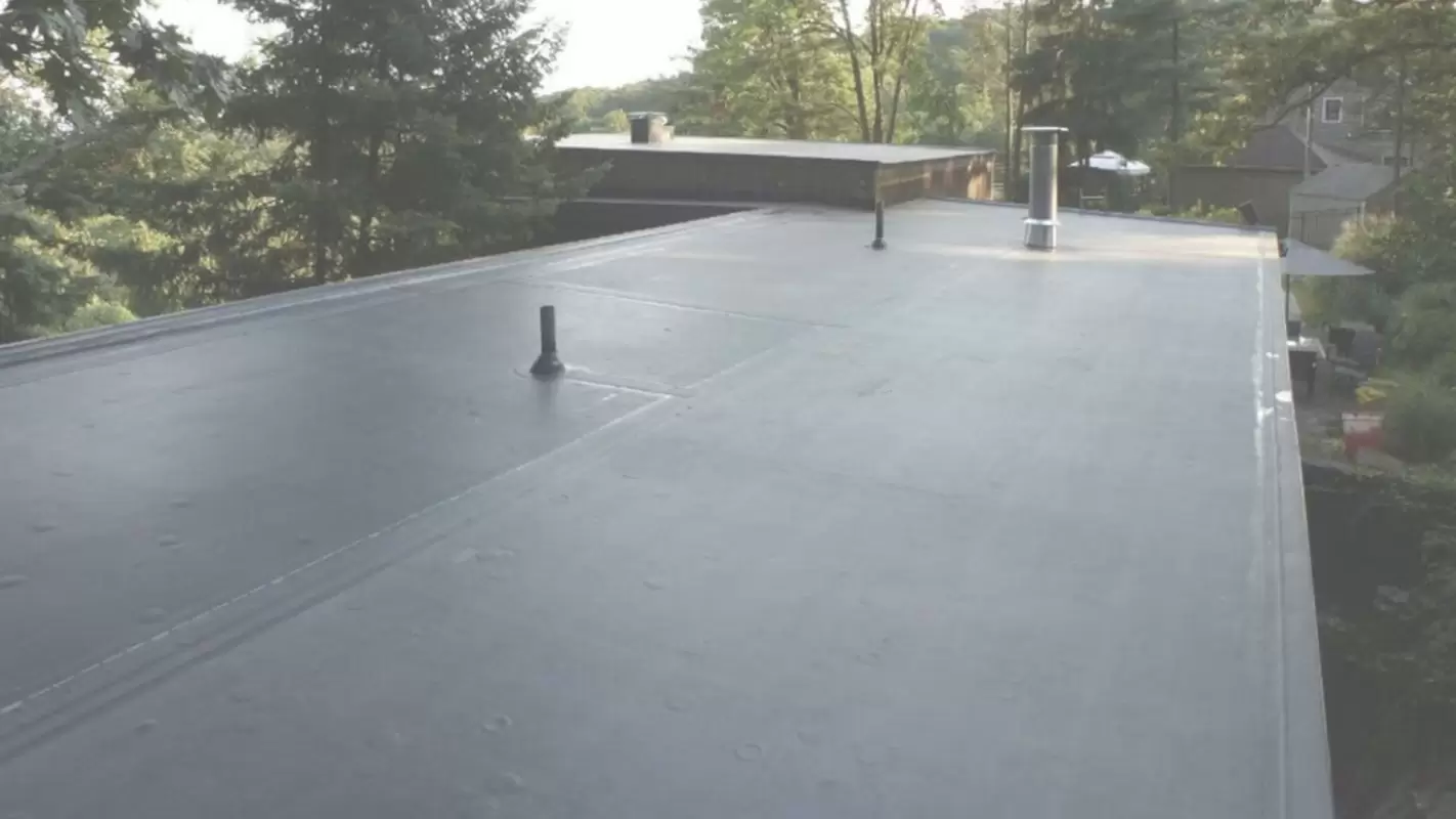 Your Trusted Specialists For EPDM Roof Leak Repair