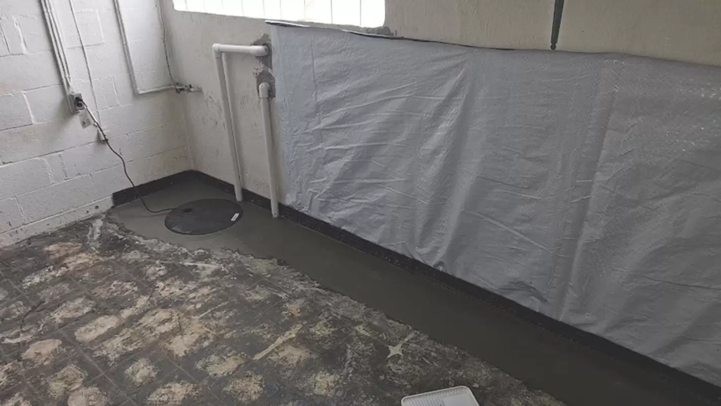 Invest In Quality Basement Waterproofing Services for Lasting Protection