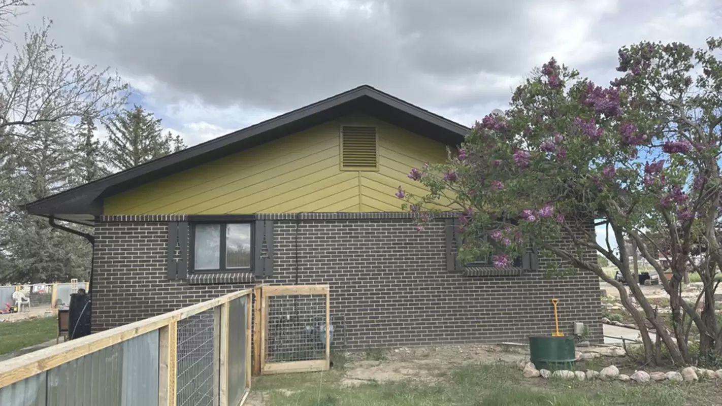 Experience The Power Of Our Residential Painting Services