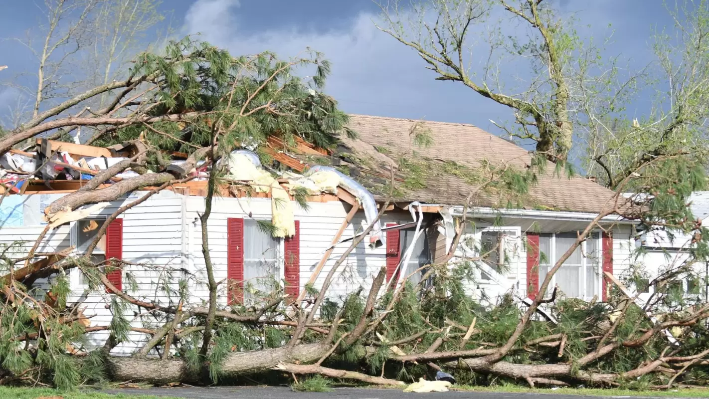 Roof Storm Damage Repair You Have Been Looking For