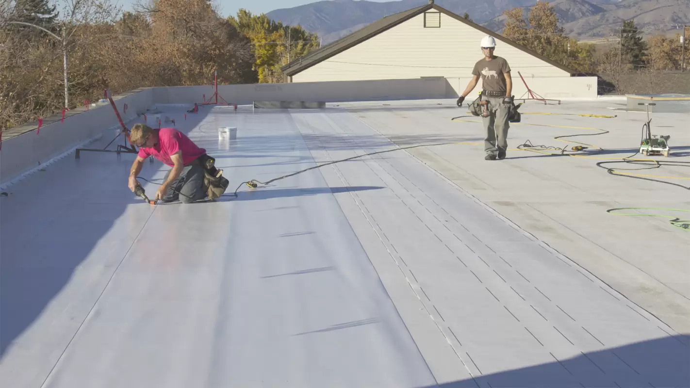 Quality Flat Roof Repair Services That Set Us Apart