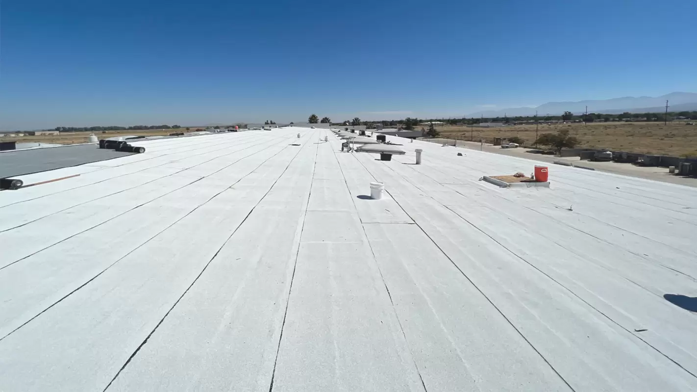 Shield Your Business with Our Professional Commercial Roofing Services!