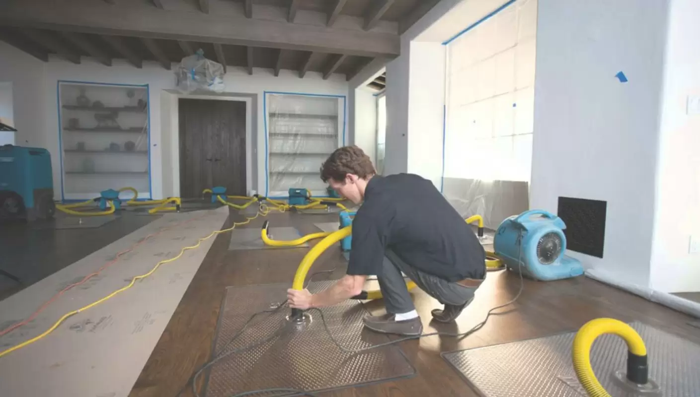 Experience Unparalleled Water Damage Restoration Services Today