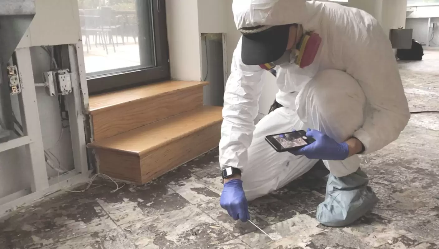 Mold Inspection And Remediation to Eliminate Mold