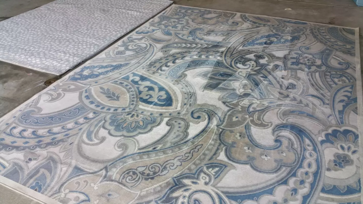 Seeking for “Area Rug Cleaning Near Me”? Call Us!
