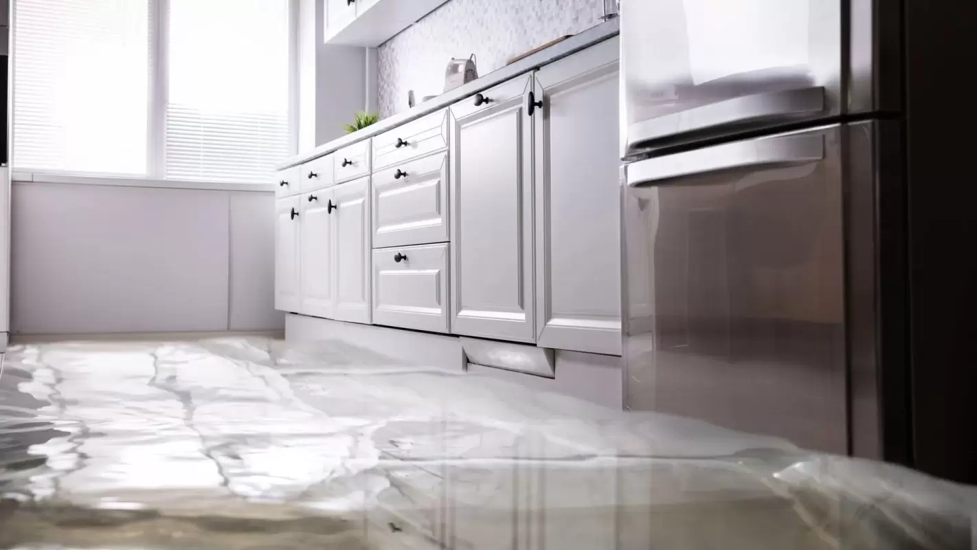 Get Professional Water Damage Services For Effective Results