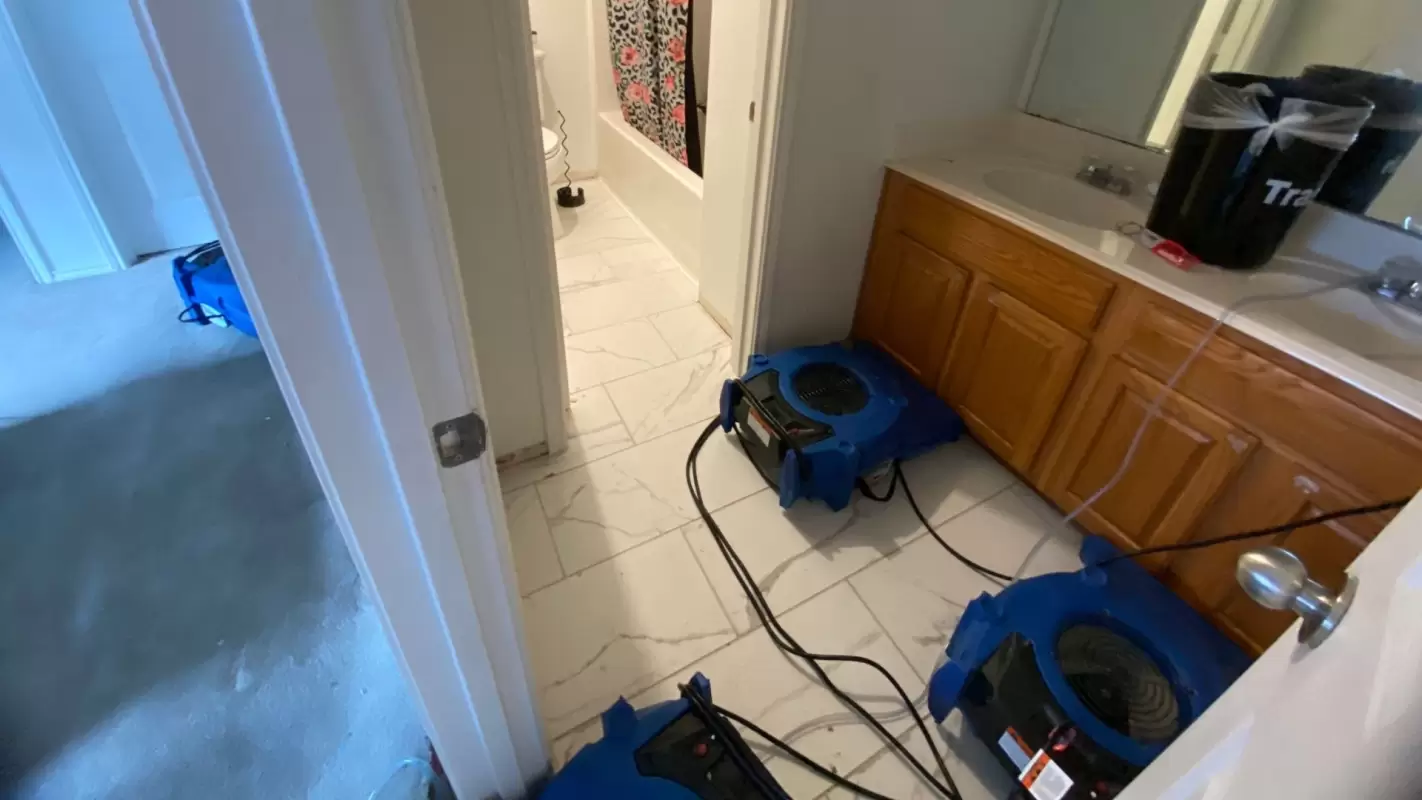 Professional Water Remediation To Prevent Mold Growth