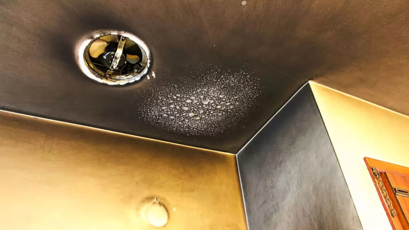 Fire Damage Restoration That Goes Above And Beyond