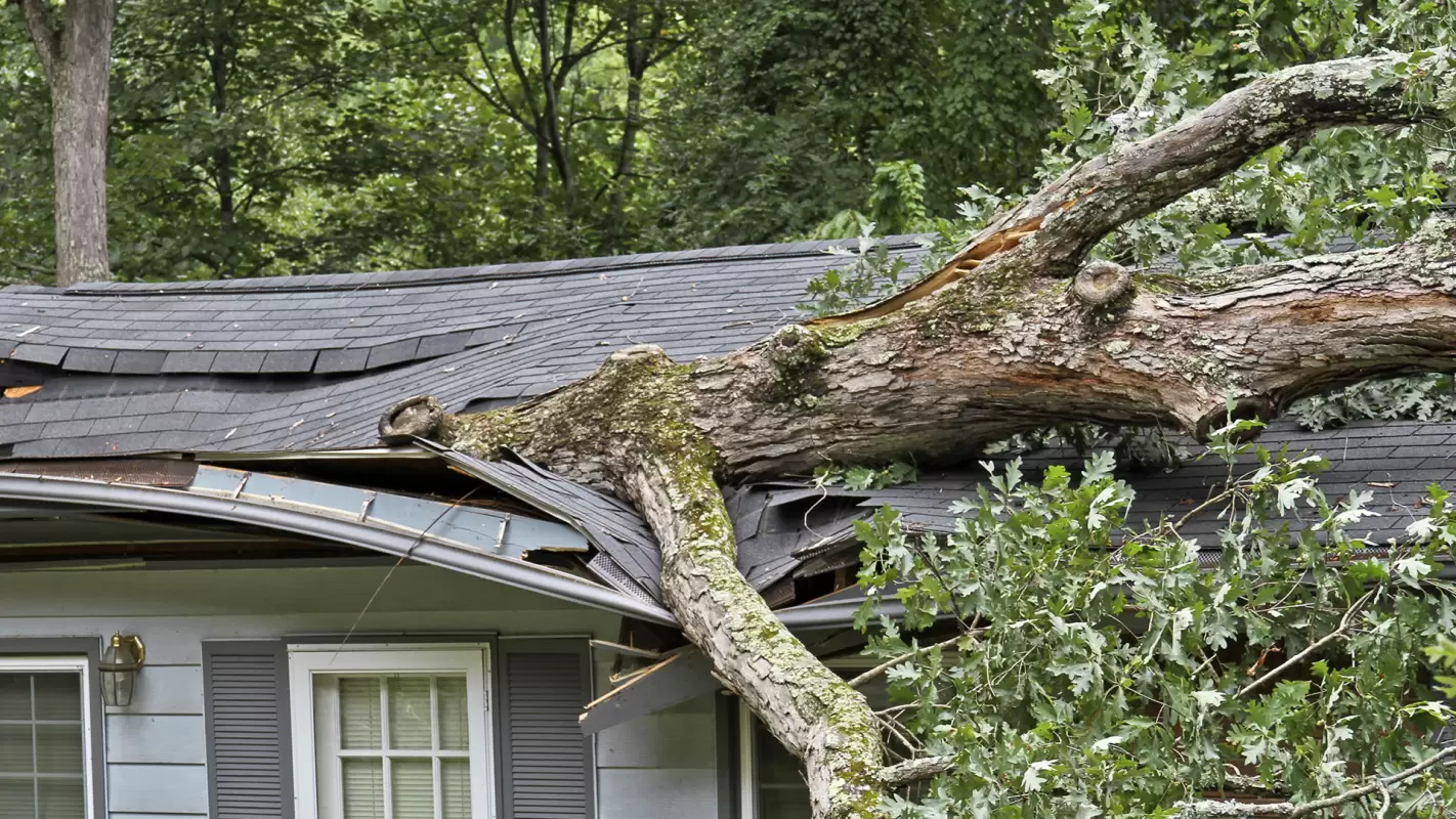Restoring Your Peace Through Storm Damage Restoration Service