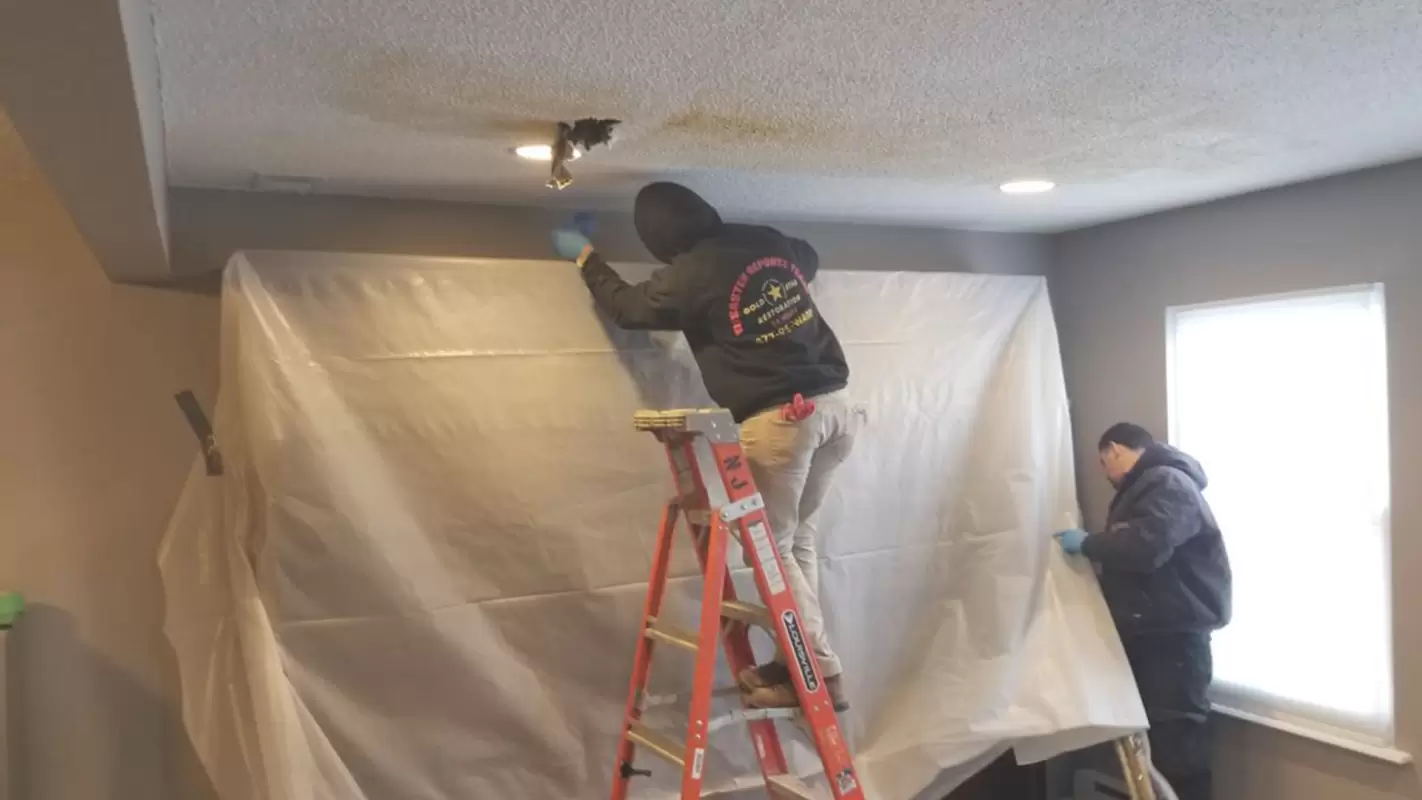 Looking For A Dependable Mold Remediation Company? Hire Us!