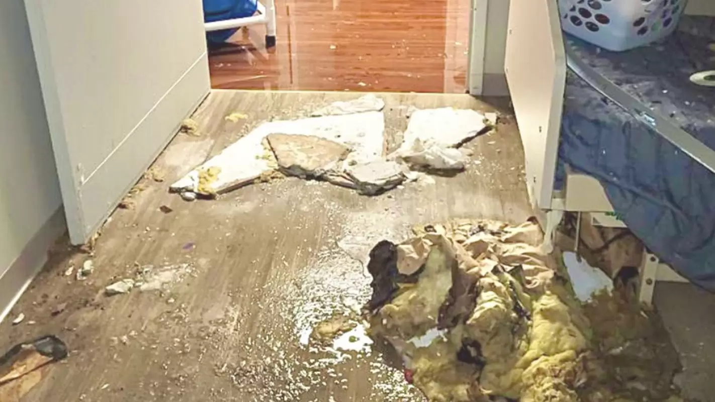 Your Trusted Partner In Sewage Damage Restoration