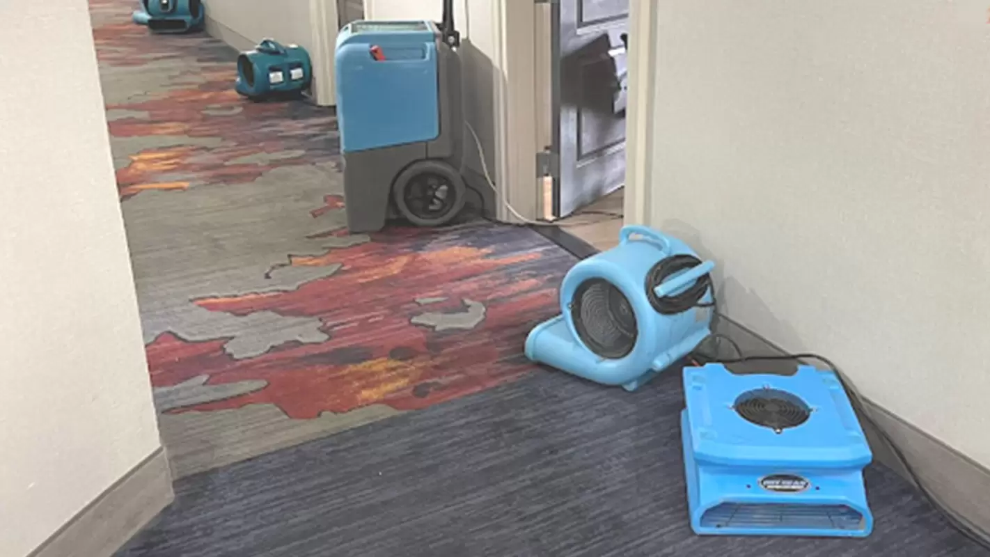 Experience Unparalleled Water Damage Restoration Services