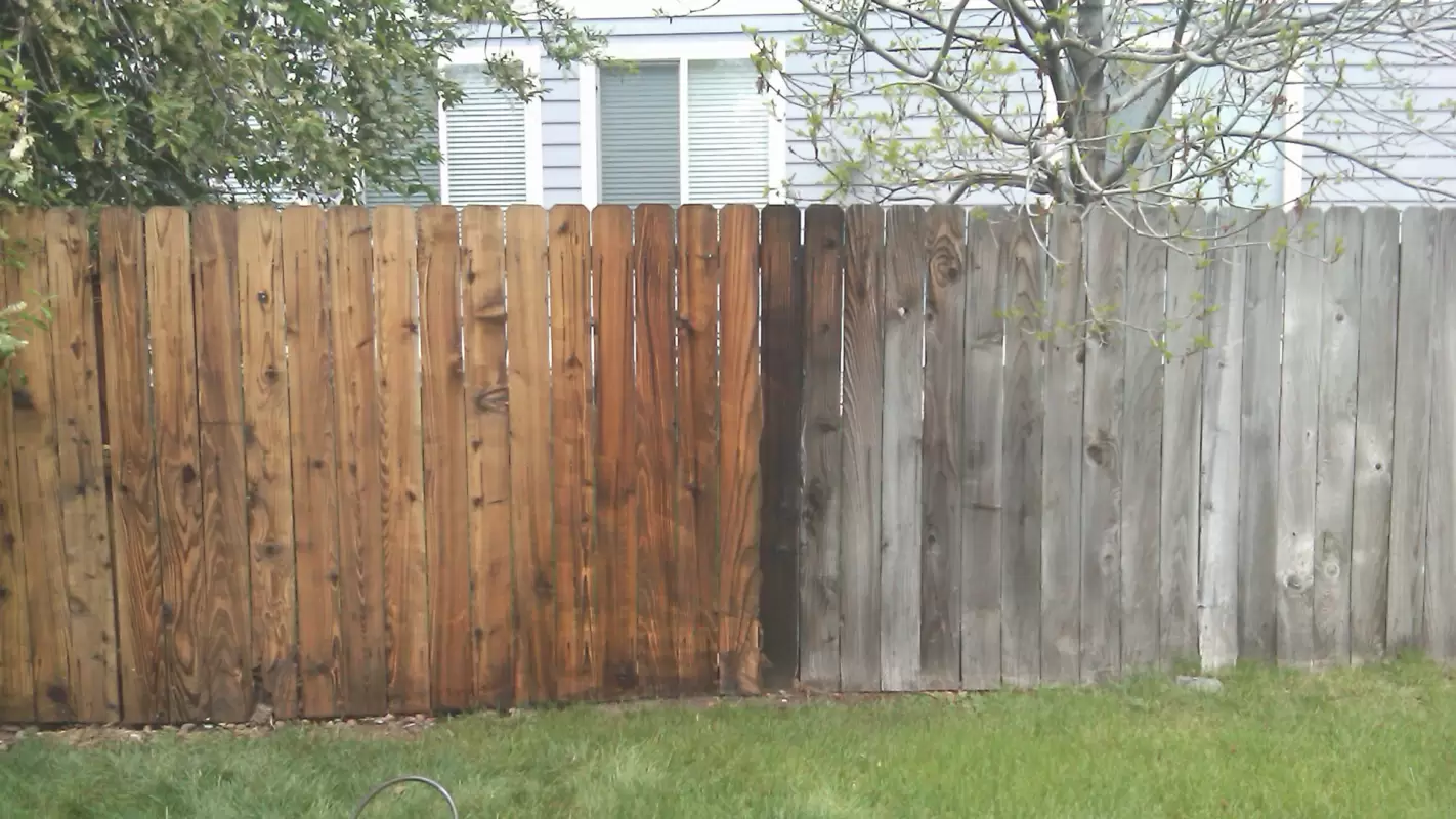 Your Go-To Experts for Fence Cleaning in Woodstock, GA