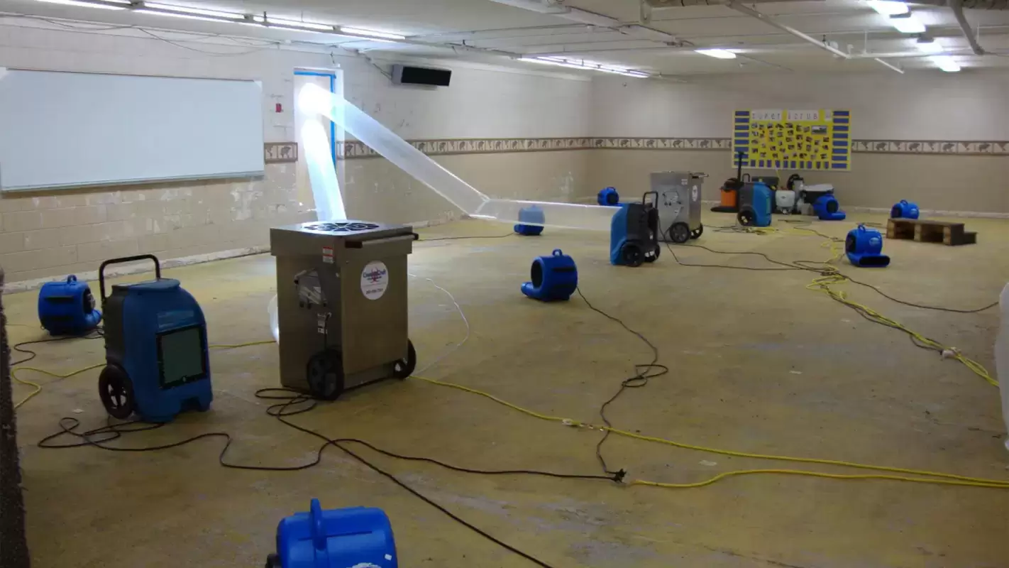 Experience Unparalleled Water Damage Mitigation Services Today!