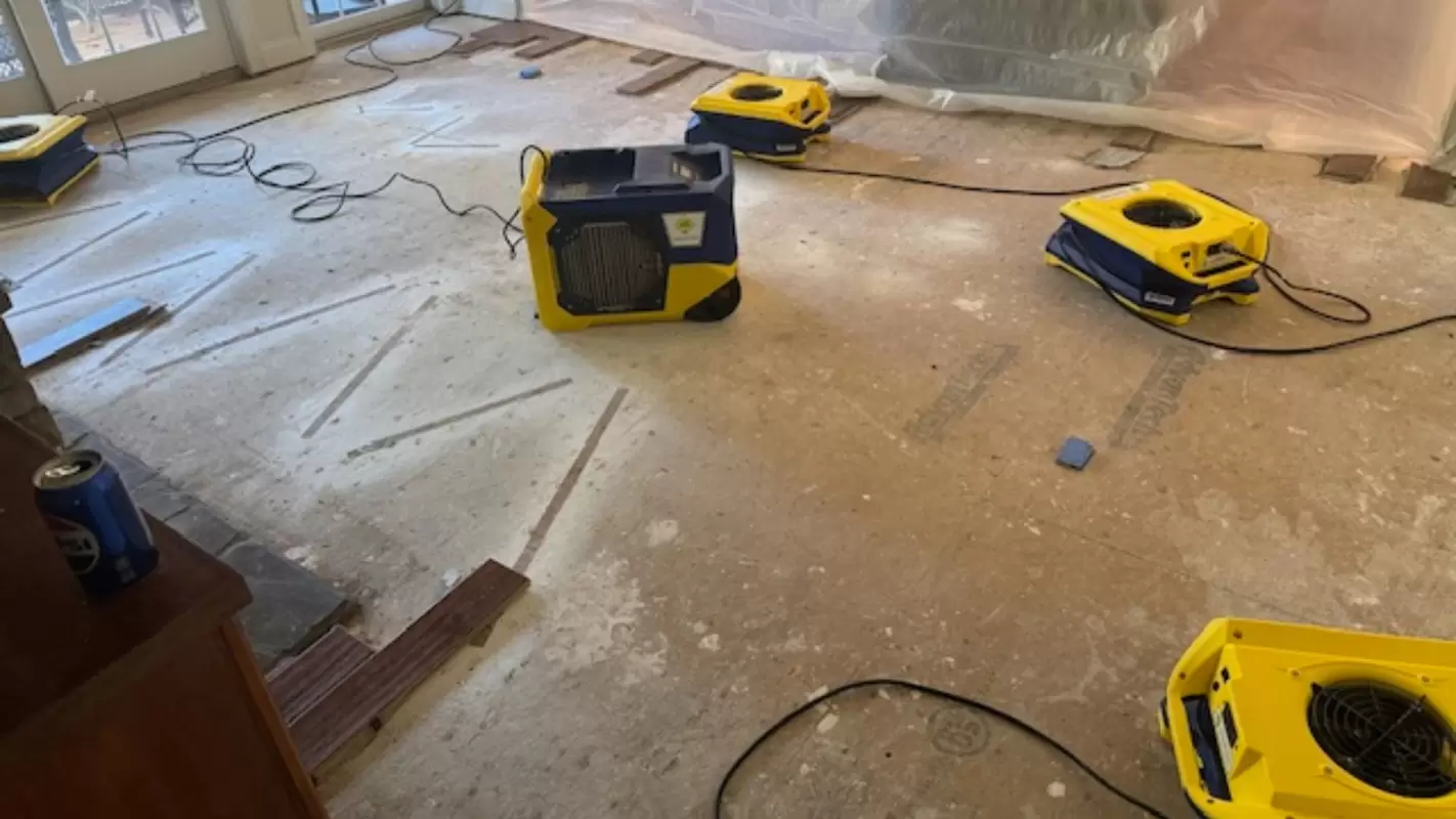 Premium Solutions For Water Damage Restoration Services That You Need