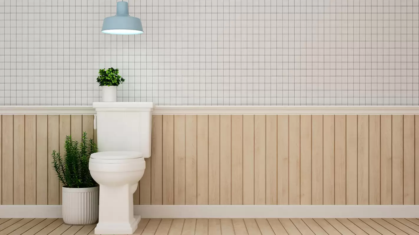 Toilets Repair Service For Peace Of Mind