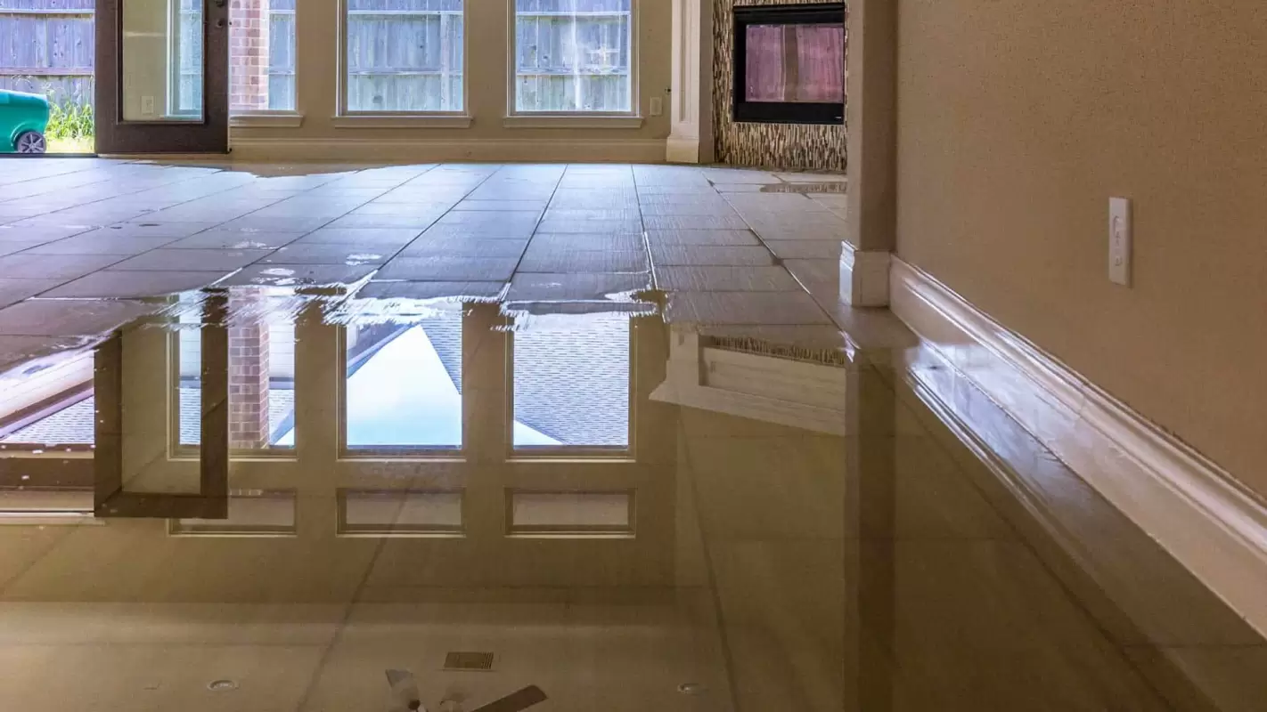 Call Us for Professional Flood Cleanup in Windermere, FL