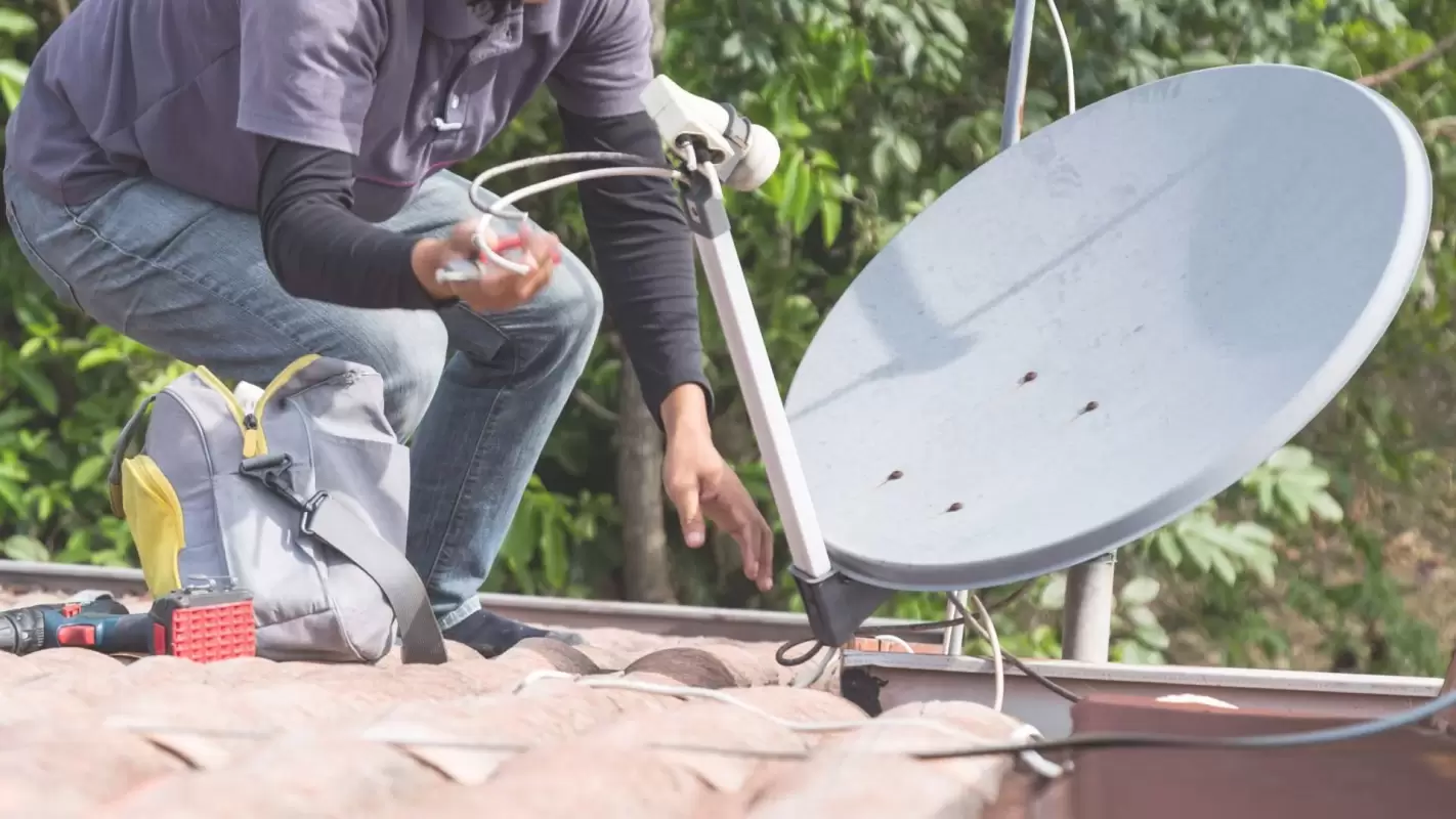 Dish Removal Service To Get Clear Conscience