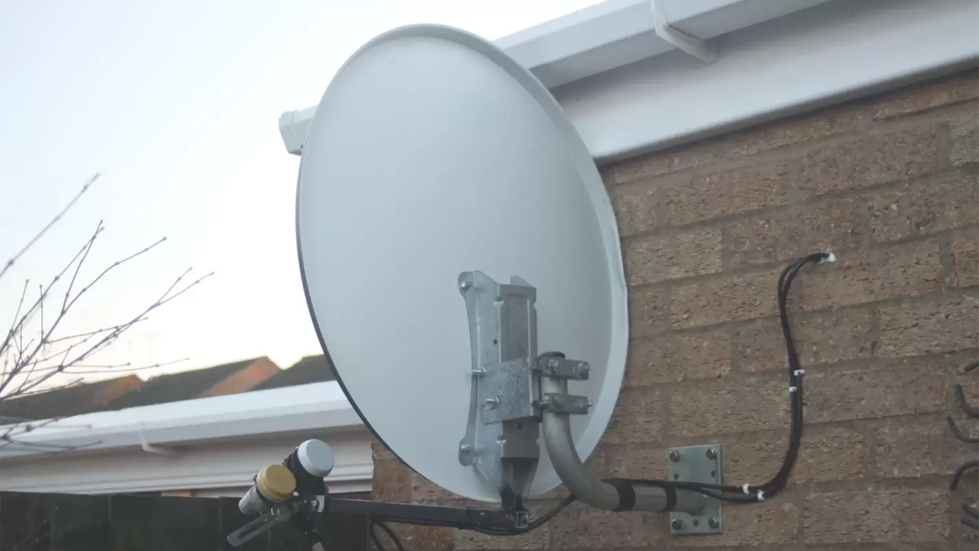 Expert Dish Disposal Service You Can Rely On
