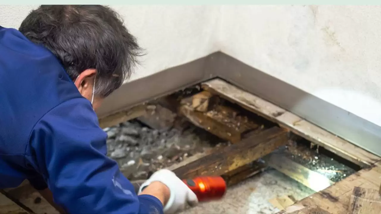 Experience The Difference In Our Slab Leak Repair