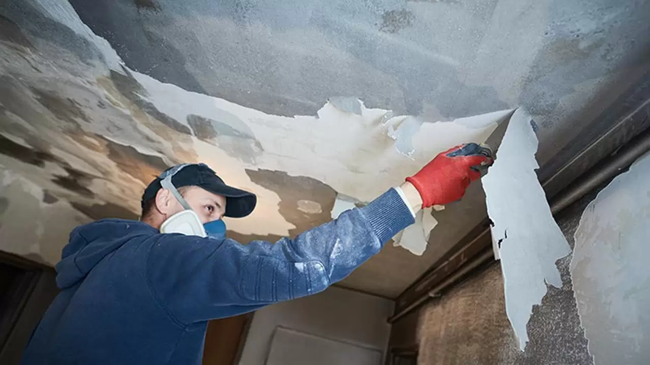 Looking For Top-Notch Roof Leak Repair Contractors? Reach Out To Us!