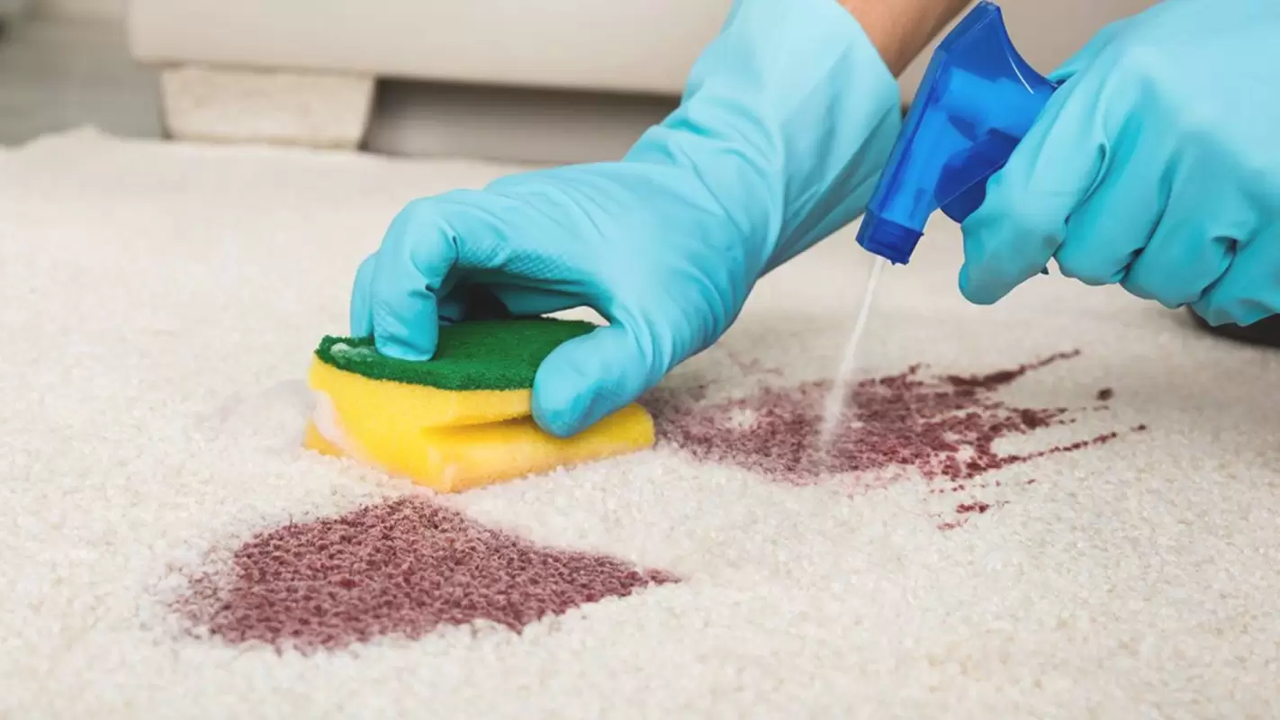 Breathe Easy with Our Carpet Odor Removal Specialists!